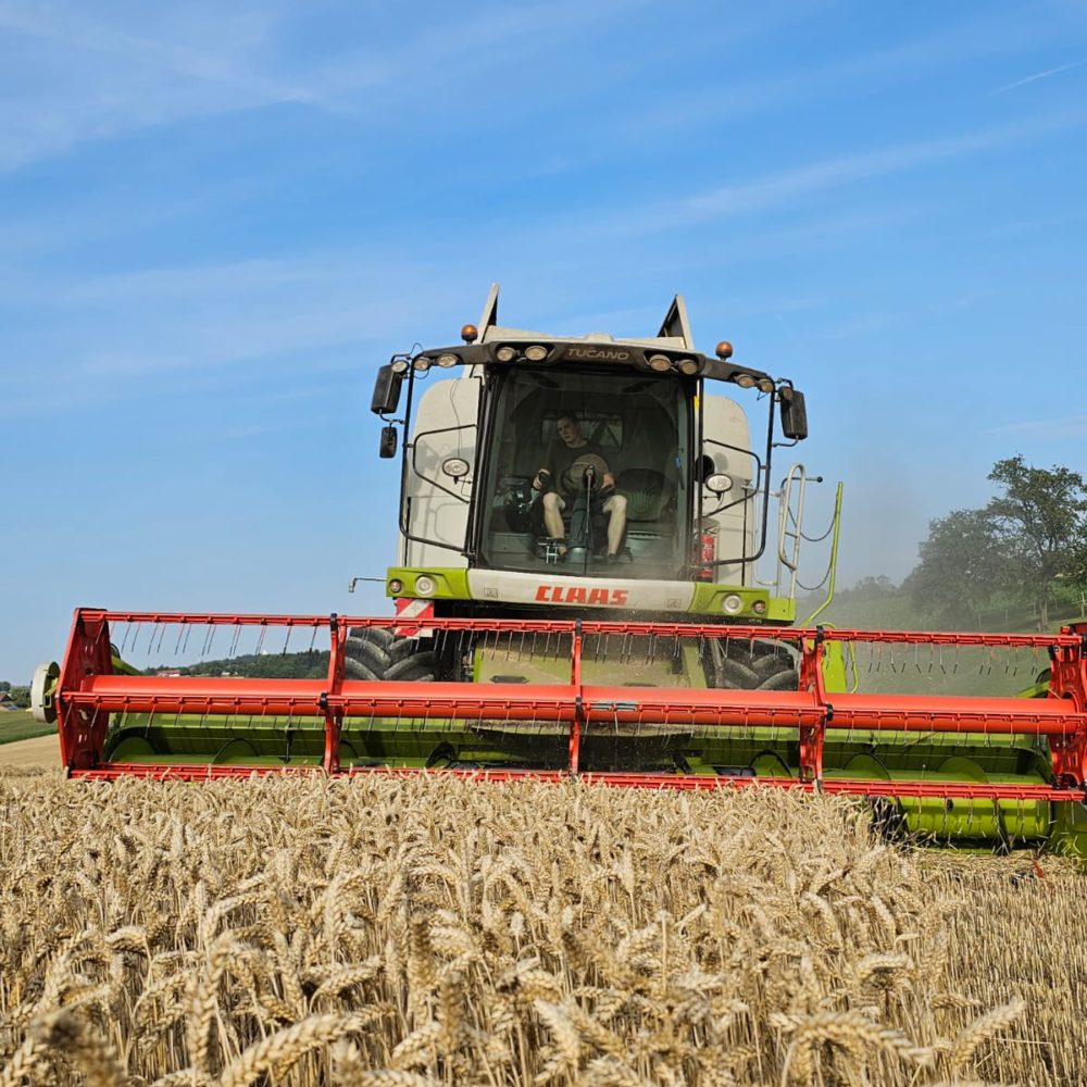 Metz Ölmühle Bio Getreide Agrar Agrarhandel Bauer Landwirt Mostviertel NÖ