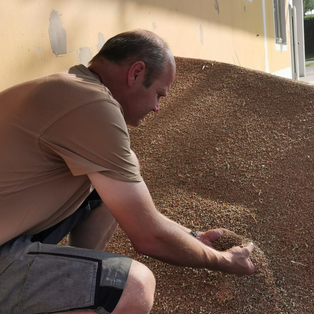 Metz Ölmühle Bio Getreide Agrar Agrarhandel Bauer Landwirt Mostviertel NÖ